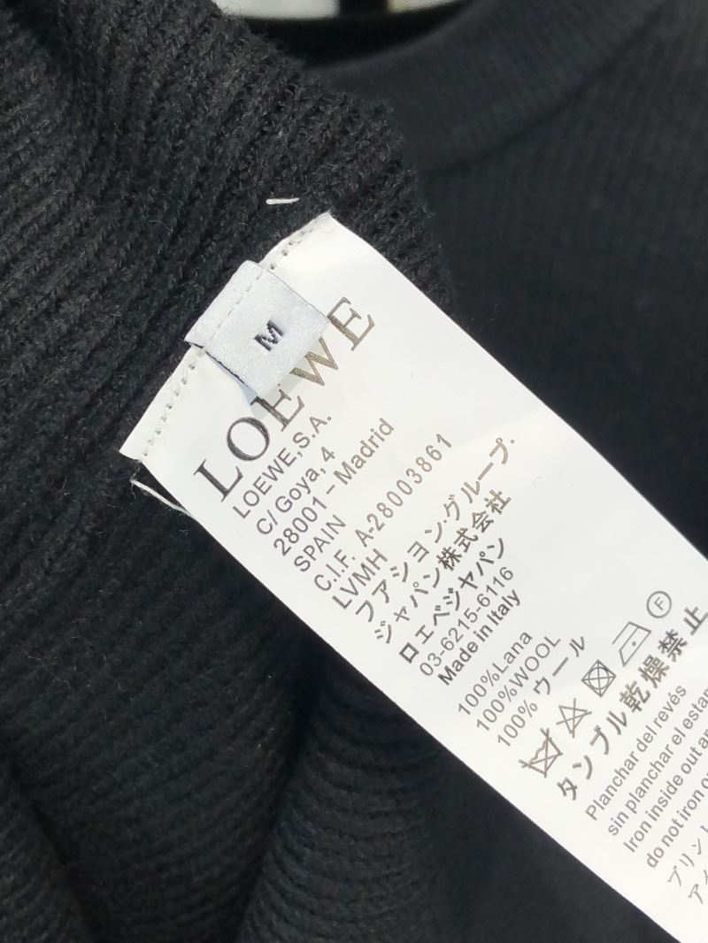 Loewe Sweaters